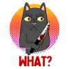 Funny Innocent Murder Cat Scary