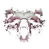 Wild Berlin