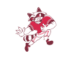 American Football Raccoon Wilderness