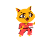 Cat makes karate kids gift
