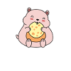 Hamster rongeur cochon d’Inde