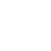 Édition limitée 1980