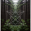 Geometric Forest