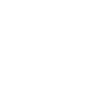 Édition limitée 1991