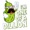 Funny Cucumber Lovers Pn