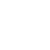 Édition limitée 1999