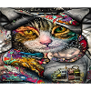 graffiti cat