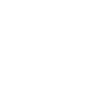Édition limitée 2006