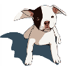 Mignon bébé Pitbull