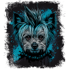 Punky Yorkshire Terrier