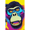 gorilla hört musik