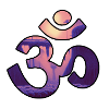 VENICE OM