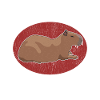 Capybara capybaras Capybaras cadeau