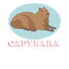 Capybara Capybaras Capybaras Capybara Cadeau