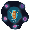 Diving in the universe