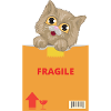 Curious Kitten on Fragile Package