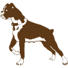 Pitbull