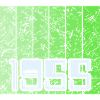 Born 1955