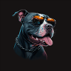 American Staffordshire Terrier