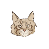 Maine Coon katter gör mig glad att du inte så mycket
