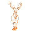 Hirsch orange