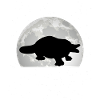 Schnabeltier Mond