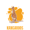 Australisches Känguru Australien Kangaroo