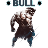 Team Bull
