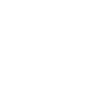 Papitän