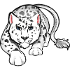 Schneeleopard