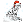 Schneeleopard