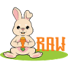Karrotte