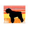Bouvier Des Flandres Dog Silhouette Retro Zonsondergang