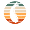 Retro Tempura Design
