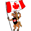 Canada Fan Horse