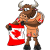 Canadian Fan Taurus