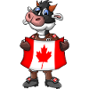 Canada Cow Fan