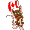 Canada Fan Mouse
