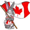 Canada Rabbit
