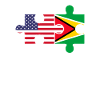 Guyana american flag, Guyana