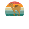 Camels Camel Desert Arabia Dromedary Camel