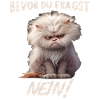 Bevor du fragst Nein
