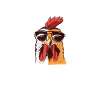 Chicken Gifts Chicken Owner
