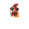 Chicken Gifts Chicken Owner