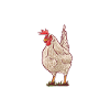 Chicken Gifts Chicken Owner