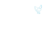 Chicken Gifts Chicken Owner