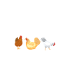Chicken Gifts Chicken Owner