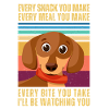 WATCHING DACHSHUND
