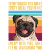 Watching Pug
