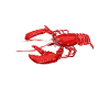 Boil Crew Shirt Gift